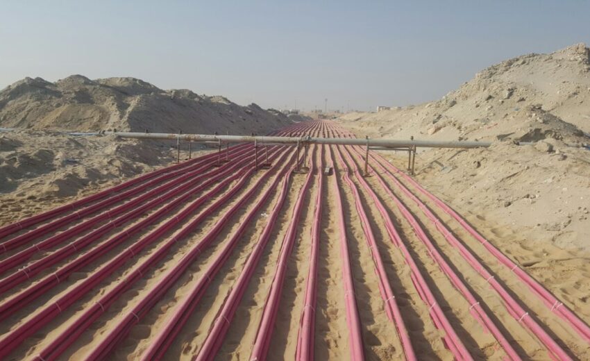 WhatsApp Image 2025-12-22 at 1.51.20 PM (2)