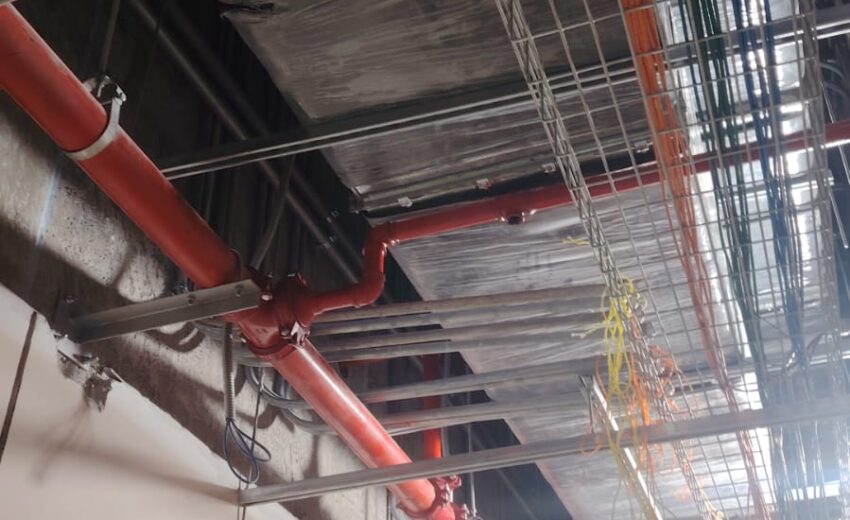 WhatsApp Image 2026-02-02 at 7.38.41 AM (1)