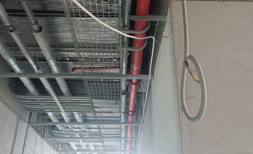 WhatsApp Image 2026-02-05 at 8.36.58 AM