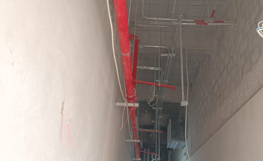 WhatsApp Image 2026-02-05 at 8.37.00 AM