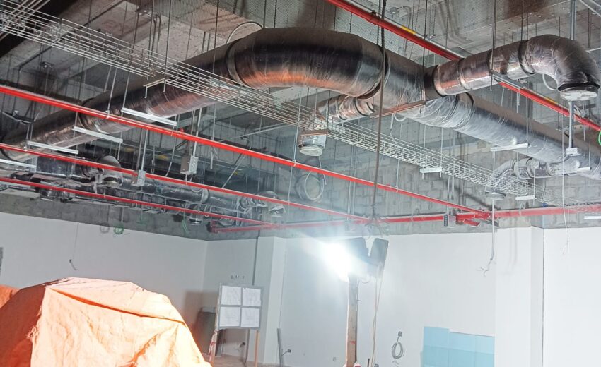 WhatsApp Image 2026-02-05 at 8.37.01 AM