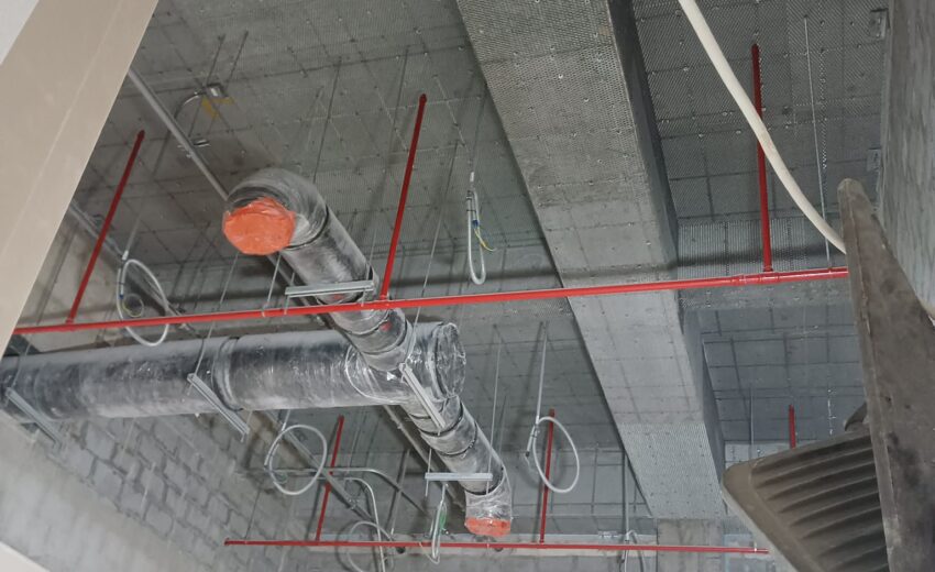 WhatsApp Image 2026-02-05 at 8.37.02 AM