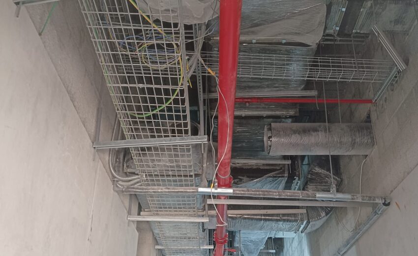 WhatsApp Image 2026-02-05 at 8.37.03 AM