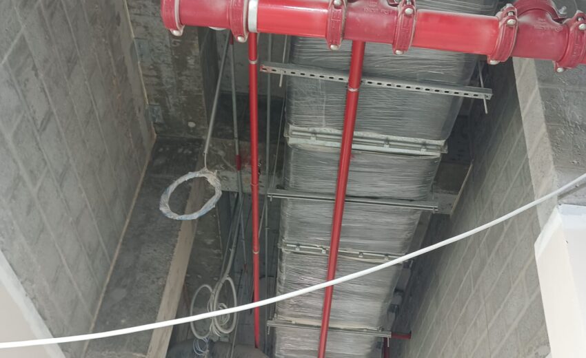 WhatsApp Image 2026-02-05 at 8.37.05 AM