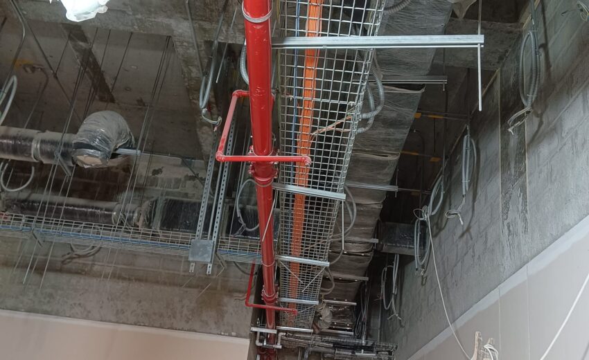 WhatsApp Image 2026-02-05 at 8.37.06 AM