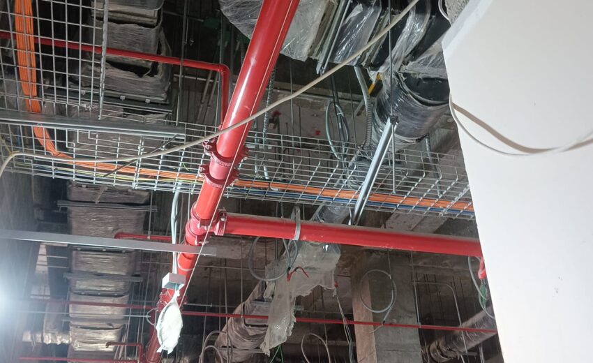 WhatsApp Image 2026-02-05 at 8.37.08 AM