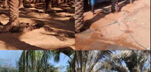 photo7-999x620-1-1290x620_Nero_AI_Image_Upscaler_Photo_Face-300x144_LE_upscale_prime-300x144_cleanup-1.v1