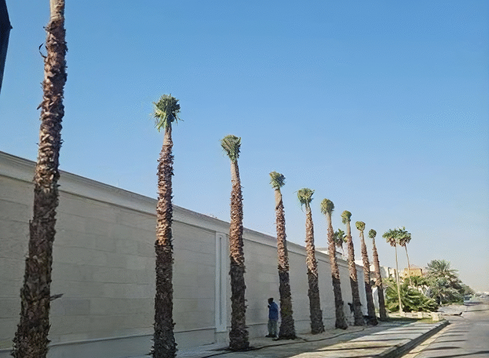 upscalemedia-transformed